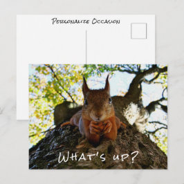 Funny Squirrel What's Up Cute Animal Hello i Feestdagenkaart