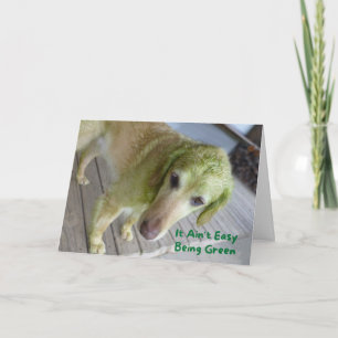 Funny St. Patricks Green Golden Retriever Card Kaart