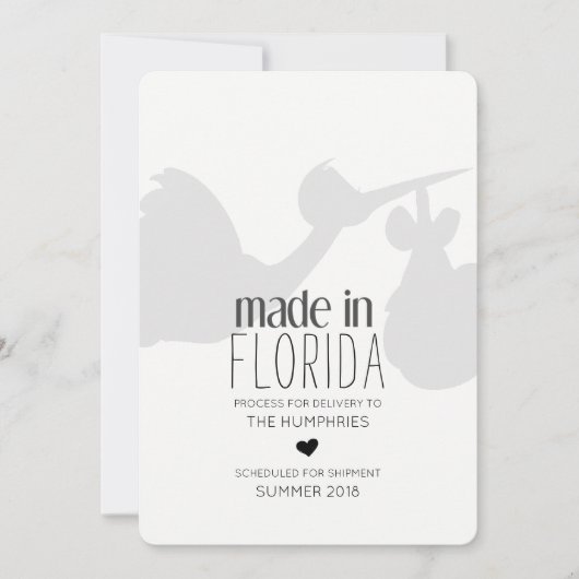 Funny Stork Delivery Zwangerschap Aankondiging (Voorkant)