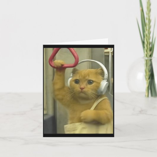 Funny Subway Cat Meme Stud Brainrot Cats Humor Kit Kaart (Voorkant)