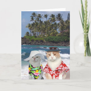  Funny Surfer Katten/Katten Jubileum Kaart