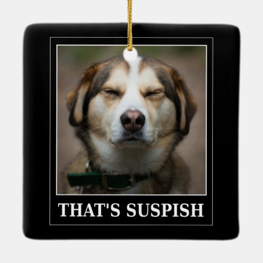 Funny Suspish Dog Meme Keramisch Ornament (Achterkant)