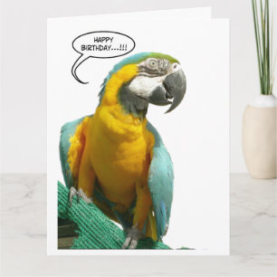 Funny Talking Parrot Birthday Big Wenskaart Kaart