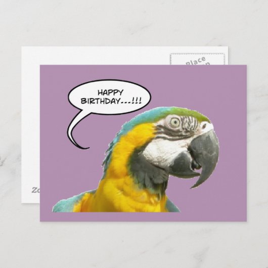 Funny Talking Parrot Carte postale Anniversaire (Devant / Derrière)
