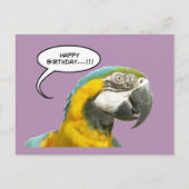 Funny Talking Parrot Carte postale Anniversaire (Devant)