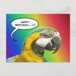 Funny Talking Parrot Rainbow Birthday Postcard Briefkaart