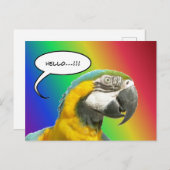 Funny Talking Parrot Rainbow Hallo Briefkaart (Voorkant / Achterkant)