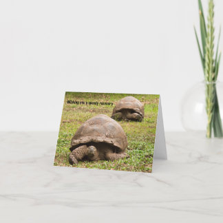 Funny Tortoise Get Well Card Bedankkaart
