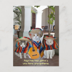 Funny Tres Gatos Spaans Teaching Aid Briefkaart