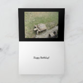 Funny Turtle Birthday Kaart (Binnen)