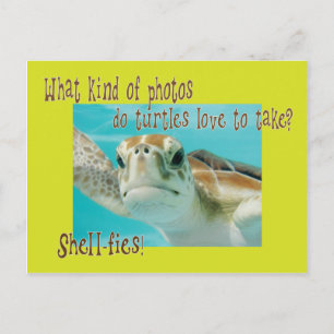 Funny turtle riddle voor kinderen briefkaart