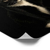 Funny Tuxedo Bauble Cat Santa Hat Red Xmas Christm Poster (Hoek)