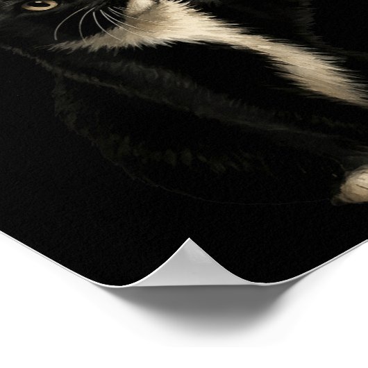 Funny Tuxedo Bauble Cat Santa Hat Red Xmas Christm Poster (Hoek)