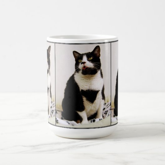 Funny Tuxedo Cat Trio Mok (Center)