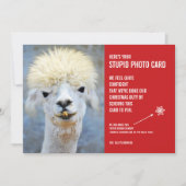 Funny Ugly Llama Christmas Stupide Carte photo (Devant)