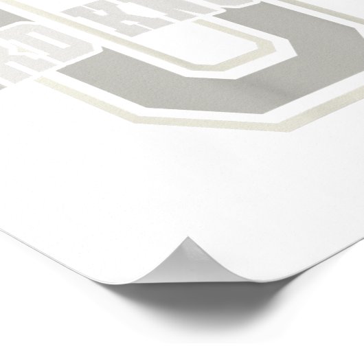 Funny University Of Hard Knocks Affirmation Colleg Poster (Hoek)