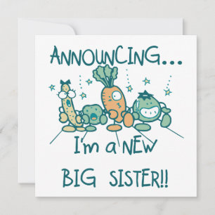 Funny Veggies New Big Sister