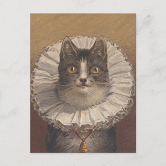 Funny Vintage Edwardian Carte postale de chat (Devant)
