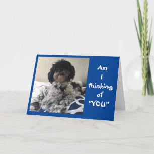 ***FUNNY VOELT ZO SNEL BETER** KAART