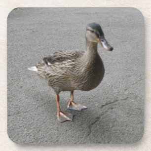 Funny Waddle Dessous de verre de liège de canard