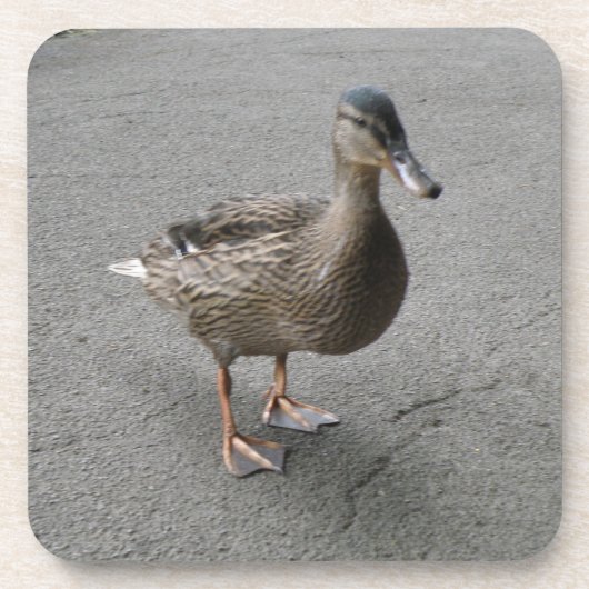 Funny Waddle Dessous de verre de liège de canard (Devant)
