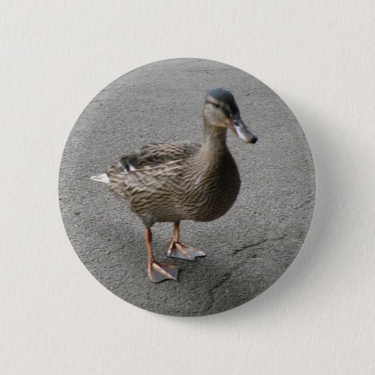 Funny Waddling Duck Button (Voorkant)
