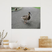 Funny Waddling Duck Print (Keuken)