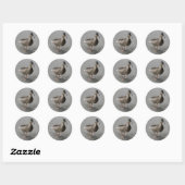 Funny Waddling Duck Stickers (Vel)