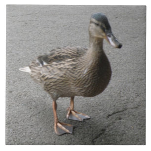 Funny Waddling Duck Tile Tegeltje