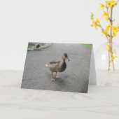 Funny Waddling Duck Verjaardag Kaart (Gele Bloem)