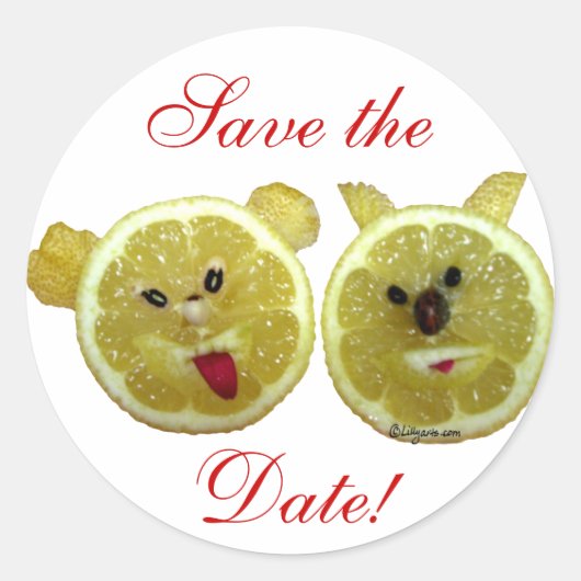 Funny Wedding Envelope Seal Stickers (Voorkant)