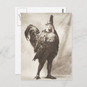 Funny Weird  Foto van Chicken Costume Briefkaart (Voorkant / Achterkant)