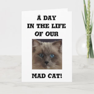 Funny Wenskaart Kaart