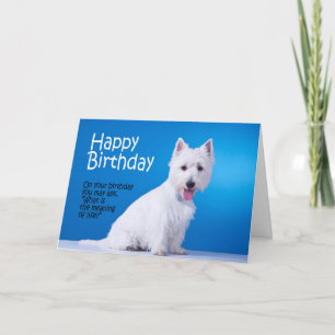 Funny Westie Carte d'anniversaire