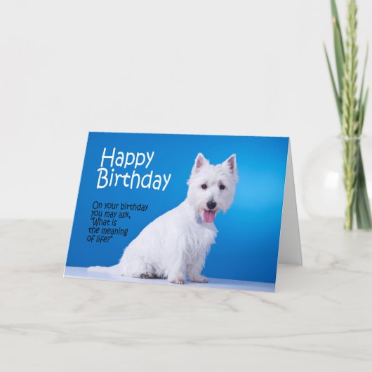Funny Westie Carte d'anniversaire (Devant)