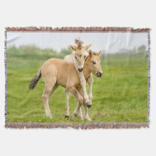 Funny Wild Konik Horses Foals die samen spelen - Deken