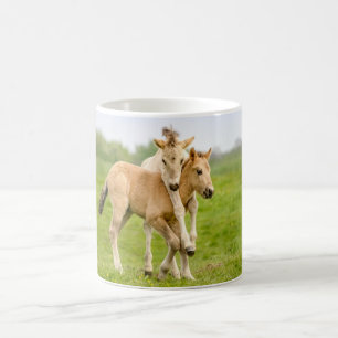 Funny Wild Konik Horses Foals die samen spelen - Koffiemok