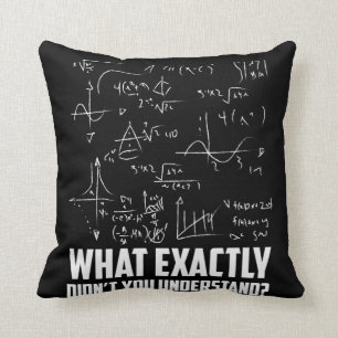 Funny Wiskunde Geek Physics Science Joke Kussen