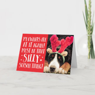 Funny Xmas Quote Pets Kerstmis Wenskaart Feestdagen Kaart