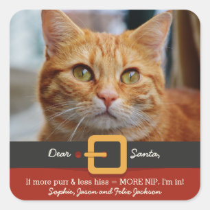 Funny Xmas Santa Cat Spint meer minder Hiss-foto Vierkante Sticker