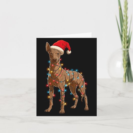 Funny Xoloitzcuintli Christmas Graphic Dog Lights  Kaart (Voorkant)