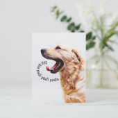 Funny Yapping Dog carte postale (Debout devant)