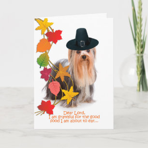 Funny Yorkie Carte Thanksgiving