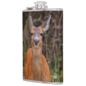 Funny Young Blacktail Deer glimlacht op fotograaf Heupfles (Links)