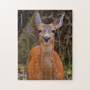 Funny Young Blacktail Deer glimlacht op fotograaf Legpuzzel