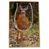 Funny Young Blacktail Deer glimlacht op fotograaf Medium Cadeauzakje (Voorkant)