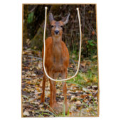 Funny Young Blacktail Deer glimlacht op fotograaf Medium Cadeauzakje (Achterkant)