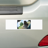 Funny Zebra Bumpersticker (Op auto)