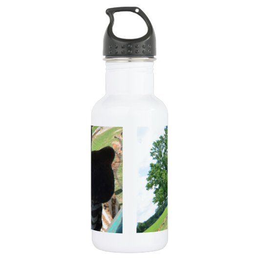 Funny Zebra Waterfles (Achterkant)