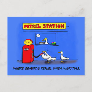 Funny zee gulls petrel cartoon humor briefkaart